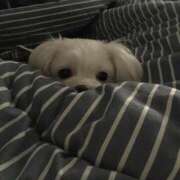 ヒメ日記 2025/03/08 15:26 投稿 みつき　ゴールド+5 CLUB虎の穴 福岡店