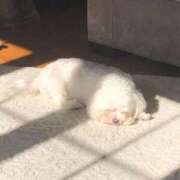 ヒメ日記 2025/03/10 08:54 投稿 みつき　ゴールド+5 CLUB虎の穴 福岡店