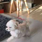 ヒメ日記 2025/04/05 21:56 投稿 みつき　ゴールド+5 CLUB虎の穴 福岡店