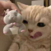 ヒメ日記 2025/04/07 17:15 投稿 みつき　ゴールド+5 CLUB虎の穴 福岡店