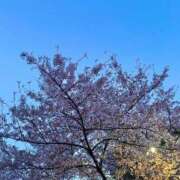 ヒメ日記 2025/04/08 02:00 投稿 みつき　ゴールド+5 CLUB虎の穴 福岡店