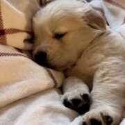 ヒメ日記 2025/04/08 07:41 投稿 みつき　ゴールド+5 CLUB虎の穴 福岡店