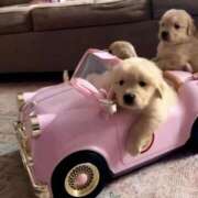 ヒメ日記 2025/05/04 03:58 投稿 みつき　ゴールド+5 CLUB虎の穴 福岡店