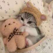 ヒメ日記 2025/05/04 10:41 投稿 みつき　ゴールド+5 CLUB虎の穴 福岡店