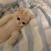 ヒメ日記 2025/05/05 09:22 投稿 みつき　ゴールド+5 CLUB虎の穴 福岡店