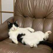 ヒメ日記 2025/03/05 12:06 投稿 希咲-きさき- ただ離婚してないだけ