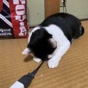 ヒメ日記 2025/03/06 12:24 投稿 希咲-きさき- ただ離婚してないだけ