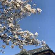 ヒメ日記 2025/04/08 16:18 投稿 希咲-きさき- ただ離婚してないだけ