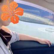 ヒメ日記 2025/11/17 09:54 投稿 希咲-きさき- ただ離婚してないだけ