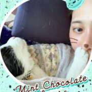 ヒメ日記 2026/03/02 21:14 投稿 希咲-きさき- ただ離婚してないだけ