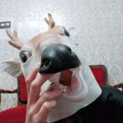 ヒメ日記 2025/07/17 11:39 投稿 りほ ハイブリッドヘルス小岩中央