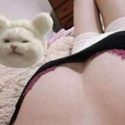 ヒメ日記 2025/07/17 22:40 投稿 ジュリア 京都デリヘル倶楽部FIRST