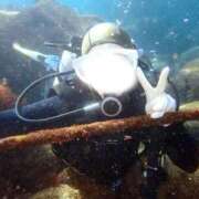 ヒメ日記 2025/11/17 14:39 投稿 相沢ひかる 回春性感アロマピーチ