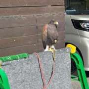 ヒメ日記 2025/12/13 09:09 投稿 相沢ひかる 回春性感アロマピーチ