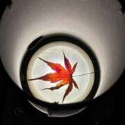 ヒメ日記 2025/12/16 15:09 投稿 相沢ひかる 回春性感アロマピーチ