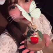 ヒメ日記 2025/01/15 20:18 投稿 みさき（極上SPコース対応） EIGHT（エイト）～8つのお約束と無限の可能性～