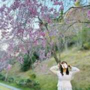 ヒメ日記 2026/04/13 22:08 投稿 みさき（極上SPコース対応） EIGHT（エイト）～8つのお約束と無限の可能性～