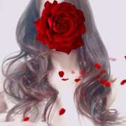 ヒメ日記 2025/02/20 22:20 投稿 しおり 癒 -いやし‐