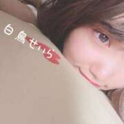 ヒメ日記 2025/02/13 15:22 投稿 白鳥 せいら Canx2京都店