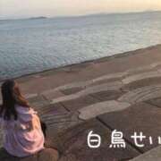 ヒメ日記 2025/03/04 21:31 投稿 白鳥 せいら Canx2京都店