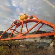 ヒメ日記 2024/12/18 01:10 投稿 有本和美 五十路マダム　和歌山店