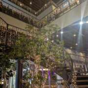 ヒメ日記 2024/12/19 15:50 投稿 有本和美 五十路マダム　和歌山店