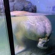 ヒメ日記 2025/03/12 07:52 投稿 有本和美 五十路マダム　和歌山店