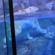 ヒメ日記 2025/03/16 07:50 投稿 有本和美 五十路マダム　和歌山店