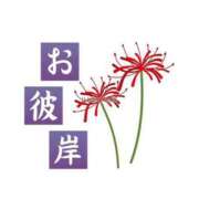 ヒメ日記 2025/03/17 04:50 投稿 有本和美 五十路マダム　和歌山店