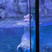 ヒメ日記 2025/03/18 02:48 投稿 有本和美 五十路マダム　和歌山店