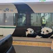 ヒメ日記 2025/03/20 06:40 投稿 有本和美 五十路マダム　和歌山店