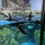 ヒメ日記 2025/03/23 06:34 投稿 有本和美 五十路マダム　和歌山店