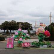 ヒメ日記 2025/03/29 21:06 投稿 有本和美 五十路マダム　和歌山店