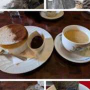 ヒメ日記 2025/04/02 04:50 投稿 有本和美 五十路マダム　和歌山店