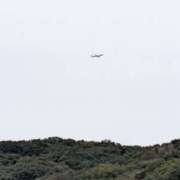 ヒメ日記 2025/04/07 16:06 投稿 有本和美 五十路マダム　和歌山店