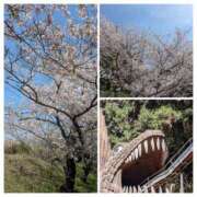 ヒメ日記 2025/04/10 05:52 投稿 有本和美 五十路マダム　和歌山店