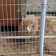 ヒメ日記 2025/04/14 21:22 投稿 有本和美 五十路マダム　和歌山店