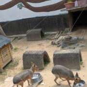 ヒメ日記 2025/04/19 16:34 投稿 有本和美 五十路マダム　和歌山店