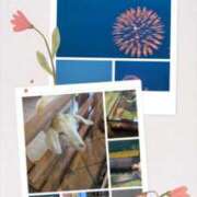 ヒメ日記 2025/05/06 16:04 投稿 有本和美 五十路マダム　和歌山店