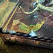 ヒメ日記 2025/05/15 14:00 投稿 有本和美 五十路マダム　和歌山店