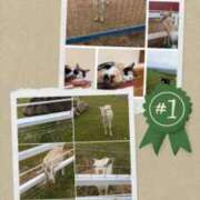 ヒメ日記 2025/05/19 14:16 投稿 有本和美 五十路マダム　和歌山店