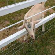 ヒメ日記 2025/05/22 21:16 投稿 有本和美 五十路マダム　和歌山店
