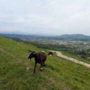 ヒメ日記 2025/05/24 21:02 投稿 有本和美 五十路マダム　和歌山店