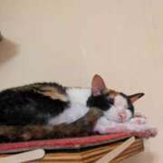 ヒメ日記 2025/05/28 16:34 投稿 有本和美 五十路マダム　和歌山店