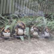 ヒメ日記 2025/07/16 06:26 投稿 有本和美 五十路マダム　和歌山店