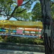 ヒメ日記 2025/08/01 19:00 投稿 有本和美 五十路マダム　和歌山店