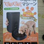 ヒメ日記 2025/08/06 16:30 投稿 有本和美 五十路マダム　和歌山店