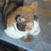 ヒメ日記 2025/09/04 05:26 投稿 有本和美 五十路マダム　和歌山店