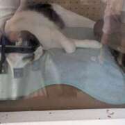 ヒメ日記 2025/09/07 17:38 投稿 有本和美 五十路マダム　和歌山店