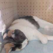 ヒメ日記 2025/09/08 16:26 投稿 有本和美 五十路マダム　和歌山店